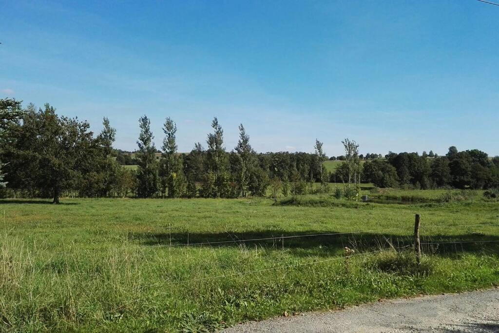 Ferienwohnung In Mittelsaida Grosshartmannsdorf Buitenkant foto