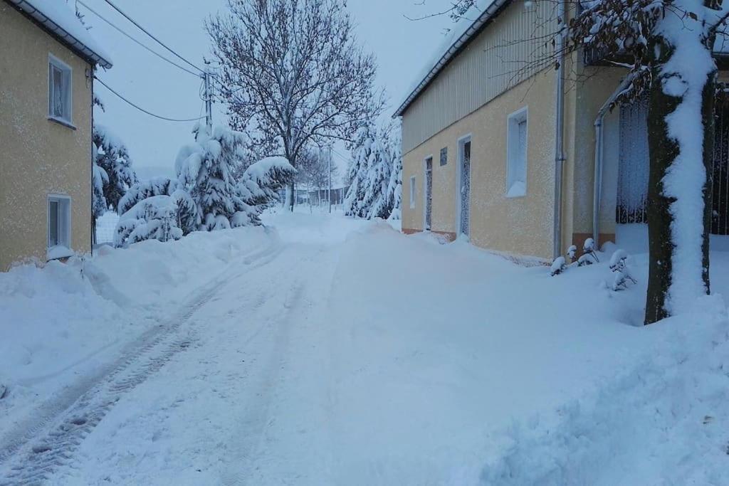Ferienwohnung In Mittelsaida Grosshartmannsdorf Buitenkant foto
